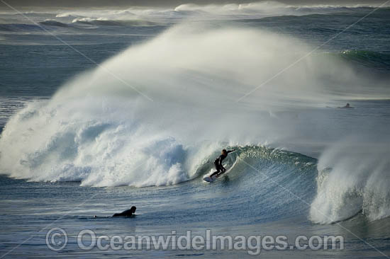 Surfer riding waves photo