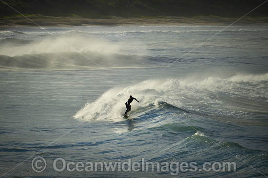 Surfer riding waves photo