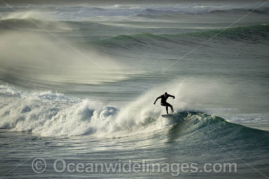 Surfer riding a wave. Creascent Head, New South wales, Australia. Photo - Gary Bell