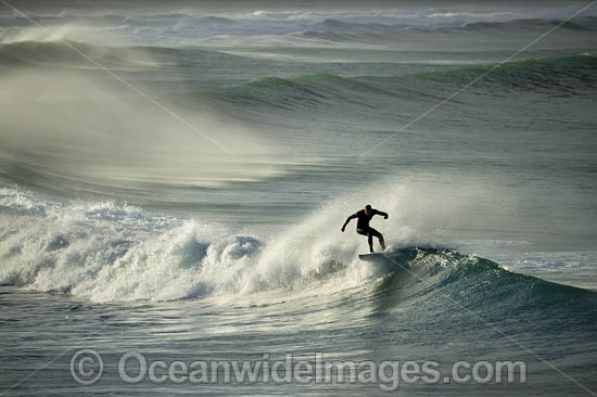 Surfer riding a wave. Creascent Head, New South wales, Australia. Photo - Gary Bell Surfer riding a wave. Creascent Head, New South wales, Australia. Photo - Gary Bell