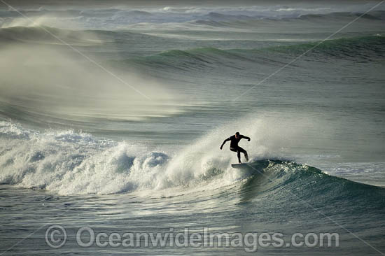 Surfer riding waves photo