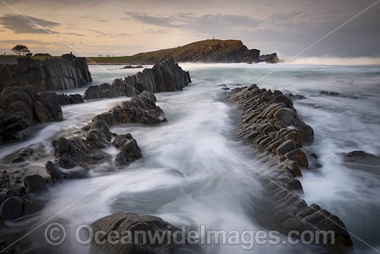 Coastal Seascape sunset, Crescent Head, New South Wales, Australia. Photo - Gary Bell Coastal Seascape sunset, Crescent Head, New South Wales, Australia. Photo - Gary Bell