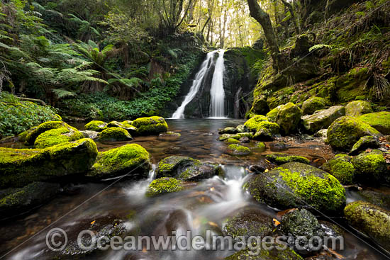 Cascade Falls New England photo