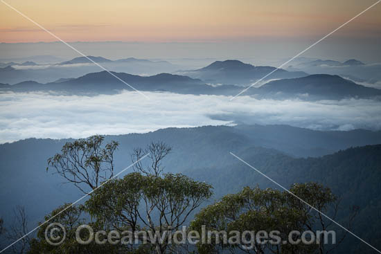Panorama sunrise view, taken from Point Lookout situated in New England World Heritage National Park, New South Wales, Australia. This rainforest is on the World Heritage List in recognition of its outstanding universal value. Photo - Gary Bell Panorama sunrise view, taken from Point Lookout situated in New England World Heritage National Park, New South Wales, Australia. This rainforest is on the World Heritage List in recognition of its outstanding universal value. Photo - Gary Bell