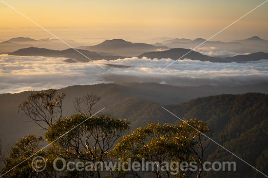 Panorama sunrise view, taken from Point Lookout situated in New England World Heritage National Park, New South Wales, Australia. This rainforest is on the World Heritage List in recognition of its outstanding universal value. Photo - Gary Bell Panorama sunrise view, taken from Point Lookout situated in New England World Heritage National Park, New South Wales, Australia. This rainforest is on the World Heritage List in recognition of its outstanding universal value. Photo - Gary Bell