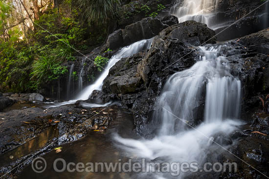 Bangalore Falls, situated on the Bangalore River in the Bindarri National Park, near Coffs Harbour, New South Wales, Australia. Photo - Gary Bell