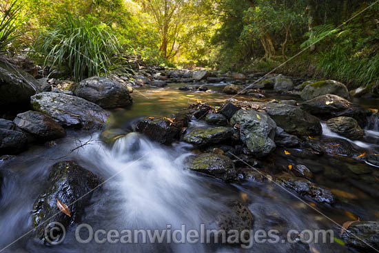 Bindarri Waterfall photo