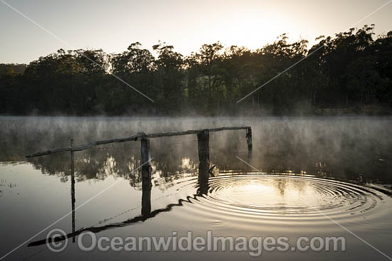 Morning mist over Wallaga Lake, near Bermagui, New South Wales, Australia. Photo - Gary Bell