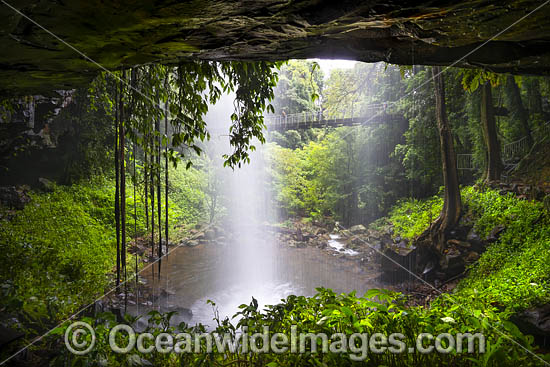Crystal Shower Falls, situated in the Dorrigo National Park, part of the Gondwana Rainforests of Australia World Heritage Area. Dorrigo, NSW, Australia. Inscribed on the World Heritage List in recognition of its outstanding universal value. Photo - Gary Bell Crystal Shower Falls, situated in the Dorrigo National Park, part of the Gondwana Rainforests of Australia World Heritage Area. Dorrigo, NSW, Australia. Inscribed on the World Heritage List in recognition of its outstanding universal value. Photo - Gary Bell