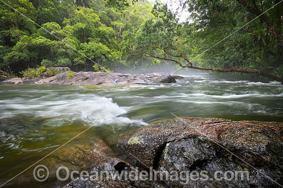 Never Never River, a rainforest stream situated in the Promised Land, near Bellingen, New South Wales, Australia. Photo - Gary Bell Never Never River, a rainforest stream situated in the Promised Land, near Bellingen, New South Wales, Australia. Photo - Gary Bell