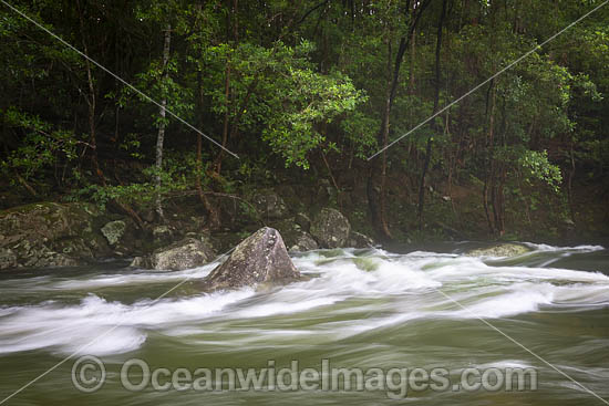 Never Never River, a rainforest stream situated in the Promised Land, near Bellingen, New South Wales, Australia. Photo - Gary Bell Never Never River, a rainforest stream situated in the Promised Land, near Bellingen, New South Wales, Australia. Photo - Gary Bell