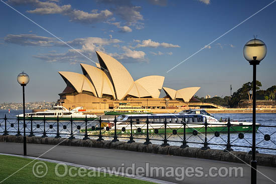 Transport Ferries Sydney photo
