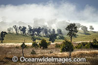 Hills covered in mist Photo - Gary Bell