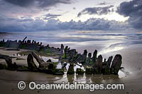 Shipwreck Buster Photo - Gary Bell