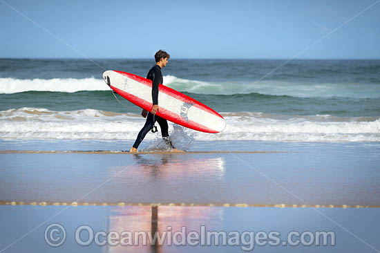 Surfer Emerald Beach photo