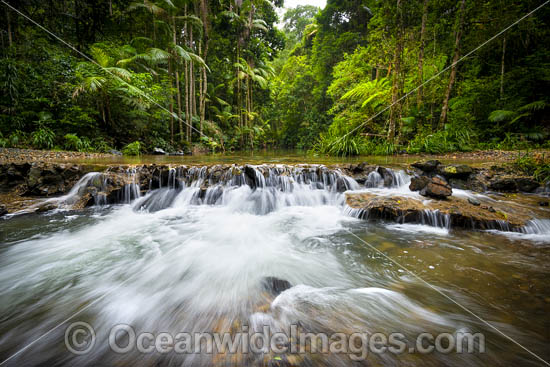 Bucca Creek NSW photo