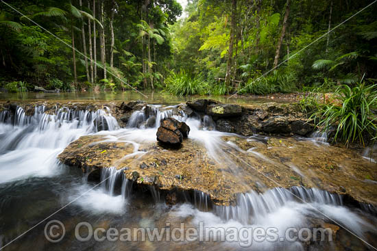 Bucca Creek NSW photo