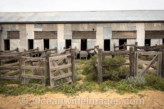 Historic Kinchega Woolshed, built in 1875, situated in the outback Central Darling district near Menindee, in Kinchega National Park, New South Wales, Australia. Photo - Gary Bell
