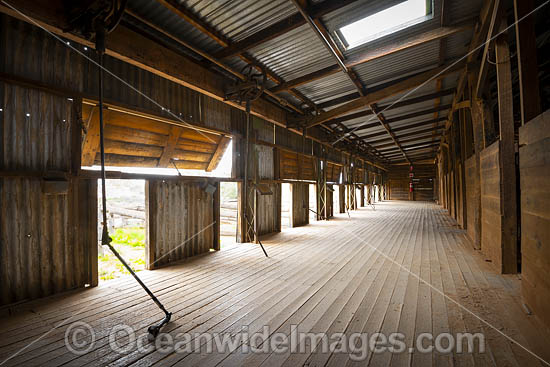 Shearing deck in historic Kinchega Woolshed, built in 1875. Situated in the outback Central Darling district near Menindee, in Kinchega National Park, New South Wales, Australia Photo - Gary Bell