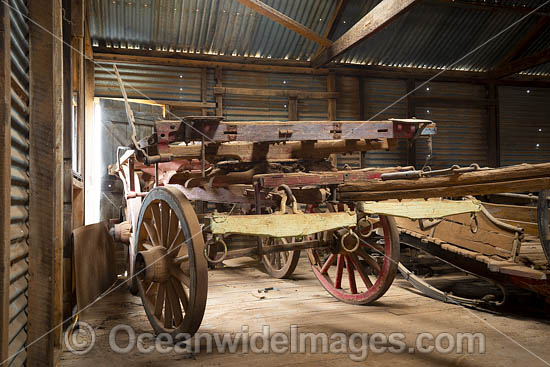 Horse Drawn wagon photo