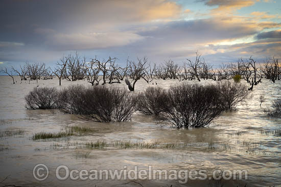 Lake Menindee Sunset photo