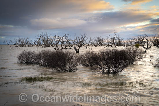 Lake Menindee Sunset photo