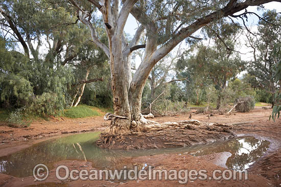 Black Hill Creek photo