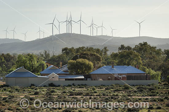 Silverton Wind Farm photo Silverton Wind Farm photo