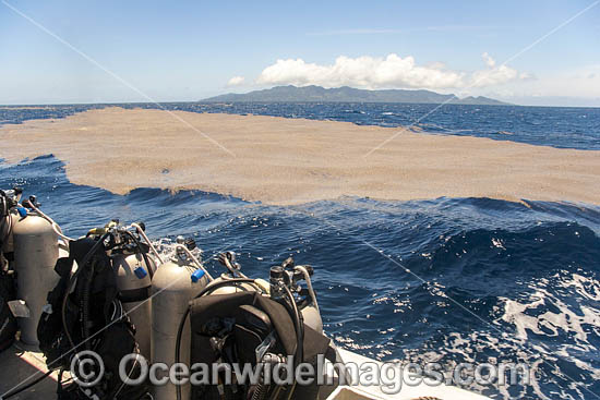 Volcano Tonga photo