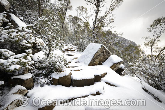 Zig Zag Track Tasmania photo Zig Zag Track Tasmania photo