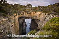 Tasmans Arch Tasmania Photo - Gary Bell