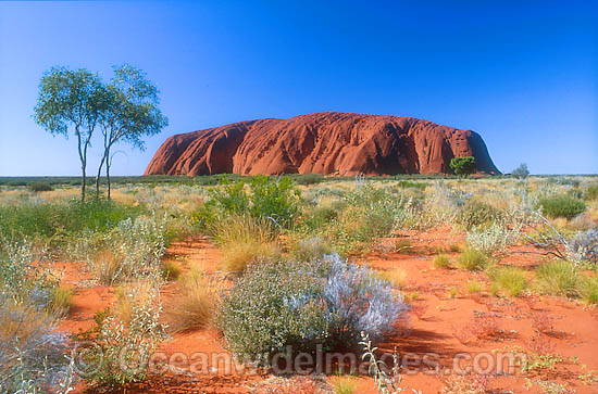 Uluru Ayers Rock photo