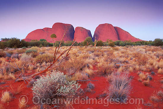Kata Tjuta Olgas photo Kata Tjuta Olgas photo