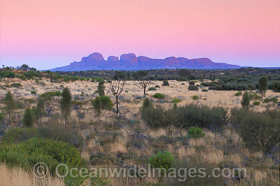 Kata Tjuta Olgas photo