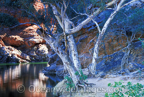 Ormiston Gorge MacDonnell Ranges photo