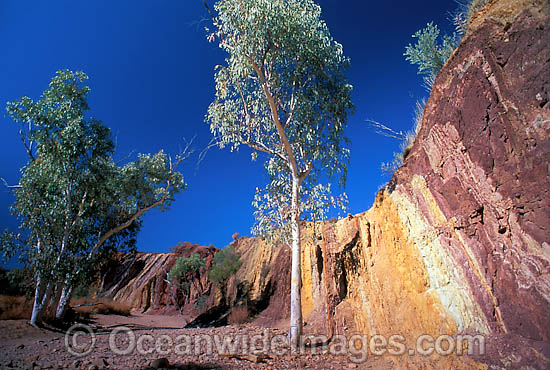 Ochre Pits Central Australia photo Ochre Pits Central Australia photo
