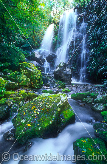 Chalan Falls. Lamington World Heritage National Park, Queensland, Australia Photo - Gary Bell Chalan Falls. Lamington World Heritage National Park, Queensland, Australia Photo - Gary Bell