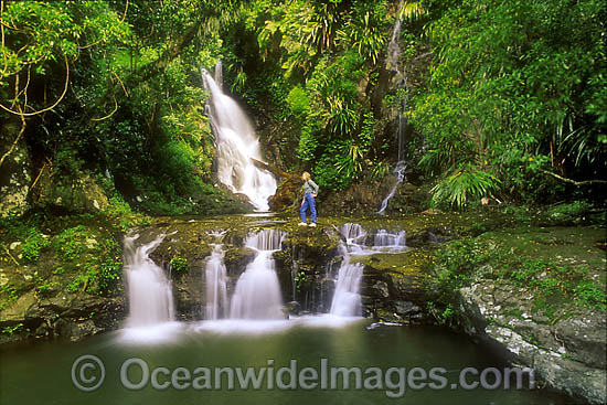 Elabana Falls Lamington National Park photo