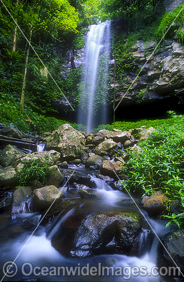 Crystal Shower Falls Dorrigo photo