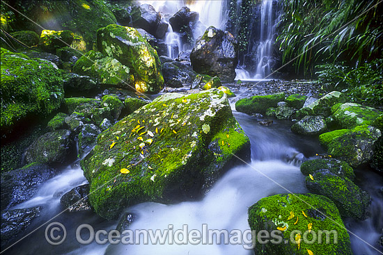 Chalan Falls. Lamington World Heritage National Park, Queensland, Australia Photo - Gary Bell Chalan Falls. Lamington World Heritage National Park, Queensland, Australia Photo - Gary Bell