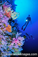 Scuba Diver with Soft Coral Photo - Gary Bell