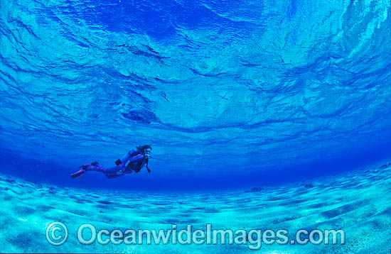 Scuba Diver diving in shallow water photo