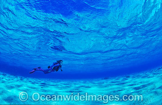 Scuba Diver diving in shallow water photo Scuba Diver diving in shallow water photo