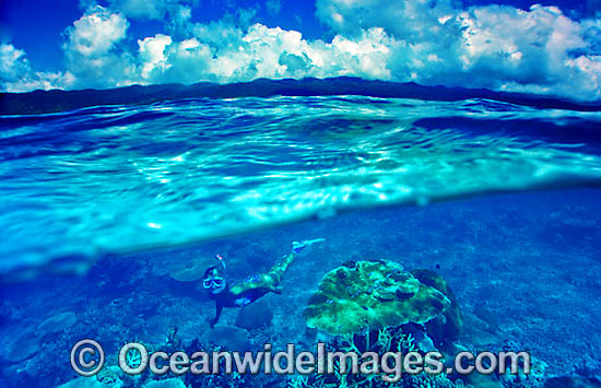 Half under and half over water picture of female Snorkel Diver / Snorkeler exploring Coral reef. Fijian Islands Photo - Gary Bell Half under and half over water picture of female Snorkel Diver / Snorkeler exploring Coral reef. Fijian Islands Photo - Gary Bell
