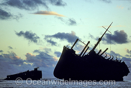 Freighter shipwreck, 'Runic', high and dry on Middleton Reef after running aground during 1961 cyclone. Middleton Reef, New South Wales, Australia. Photo - Gary Bell