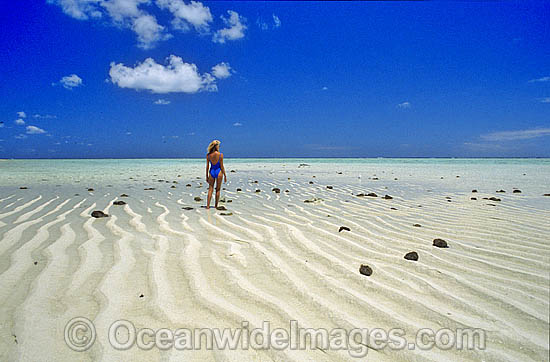 Great Barrier Reef beach photo
