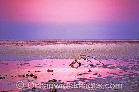 Heron Island seascape photo
