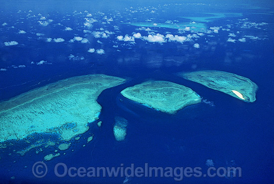 Aerial Ribbon Reefs photo
