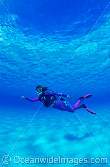 Scuba Diver in Great Barrier Reef photo Scuba Diver in Great Barrier Reef photo