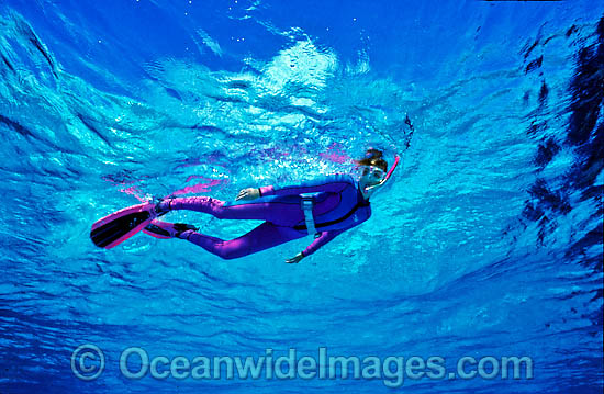 Snorkeller on Great Barrier Reef photo